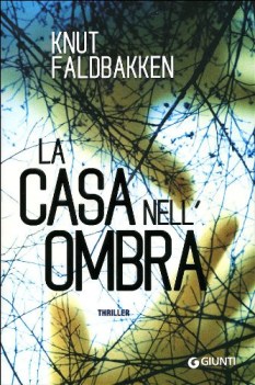 casa nell\'ombra