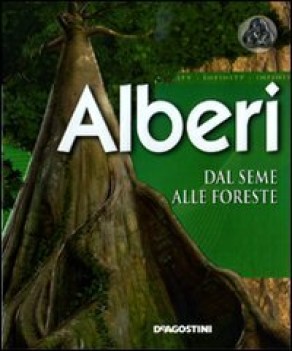 alberi dal seme alle foreste