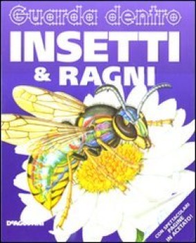 insetti e ragni