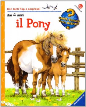 pony