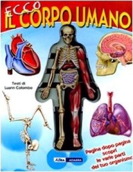 ecco il corpo umano