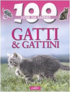 gatti e gattini