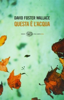 questa  l\'acqua