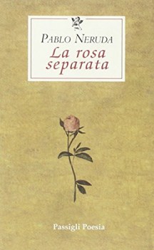 rosa separata