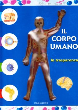 corpo umano in trasparenza