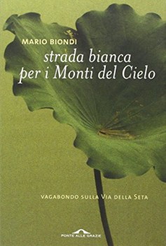 strada per i monti del cielo