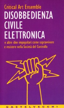 disobbedienza civile elettronica