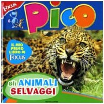 animali selvaggi (focus pico)