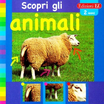 scopri gli animali pecora