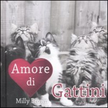 amore di gattini