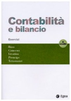 contabilit e bilancio