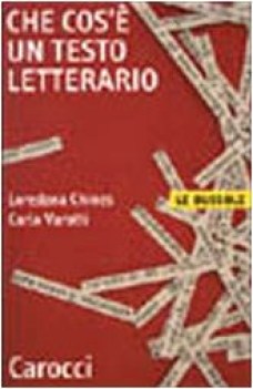 che cos\'e un testo letterario VECCHIA EDIZIONE