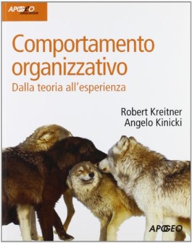 comportamento organizzativo